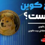 دوج کوین چیست