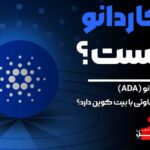 کاردانو چیست ؟ آکادمی افل
