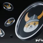 بررسی ارز شیبا اینو