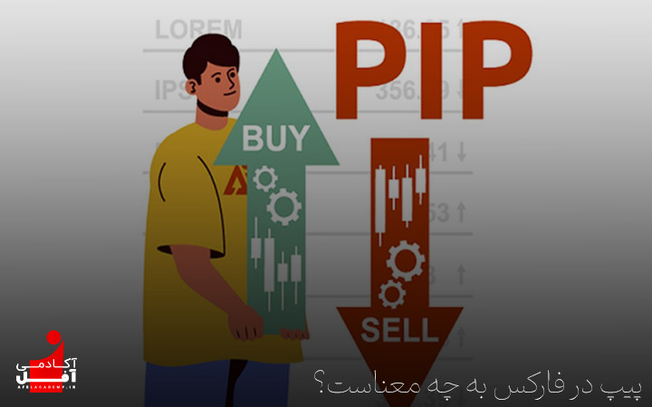 پیپ در فارکس به چه معناست؟