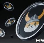 فلوکی اینو چیست