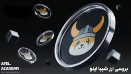 فلوکی اینو چیست